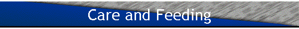 Care and Feeding